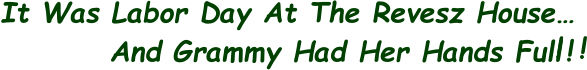 It Was Labor Day At The Revesz House�          And Grammy Had Her Hands Full  ! ! !